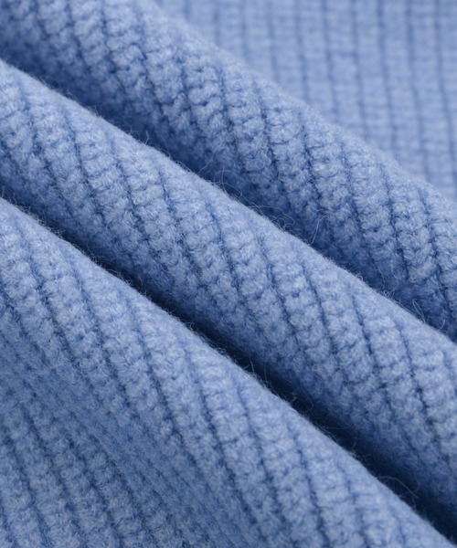 Arnold Palmer（アーノルドパーマー）の「ダブルオープンジップ ニットベスト（ベスト・レディース・スカイブルー/ブラック/アイボリー・L/M/S）」の16枚目の写真