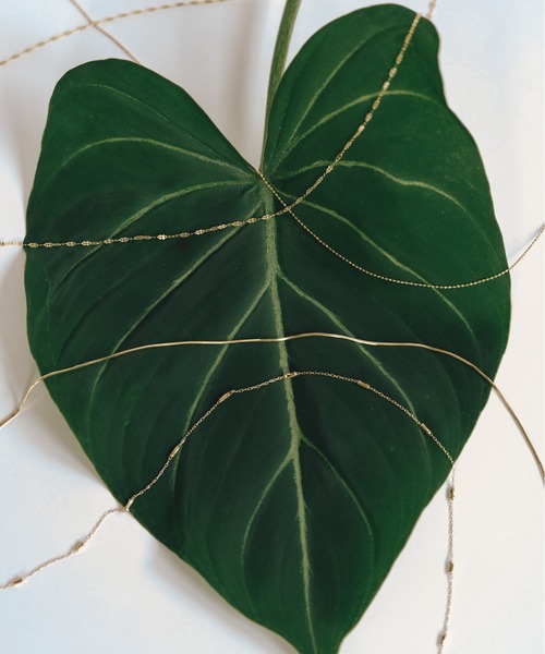 va vendome aoyama（ヴイエーヴァンドームアオヤマ）の「K10YG ゴールド チェーンネックレス・80cm（ネックレス・レディース・イエローゴールド・80ｃｍ）」の11枚目の写真