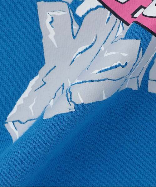 XLARGE KIDS(エクストララージキッズ)の「スノーボードT-REXトレーナー(スウェット・キッズ・トップグレー/ブルー/ブラック・100cm/140cm/120cm/130cm/110cm)」の8枚目の写真