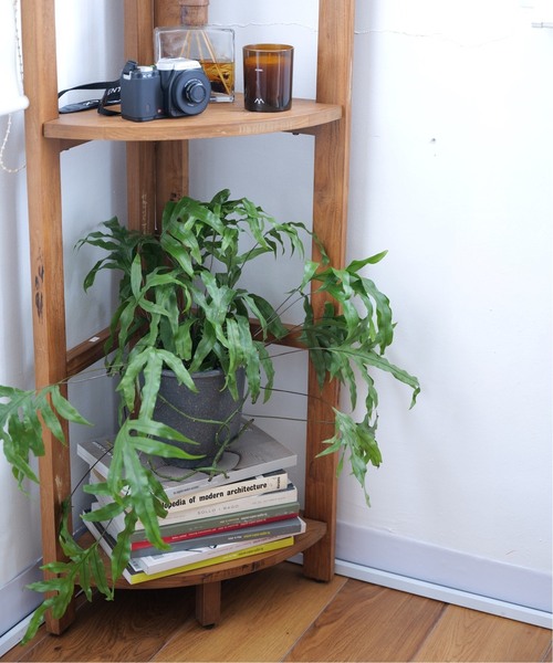 アクメファニチャー TROY トロイ チーク 無垢 古材 コーナーシェルフ ACME Furniture TROY CORNER SHELF / アクメファニチャー トロイ