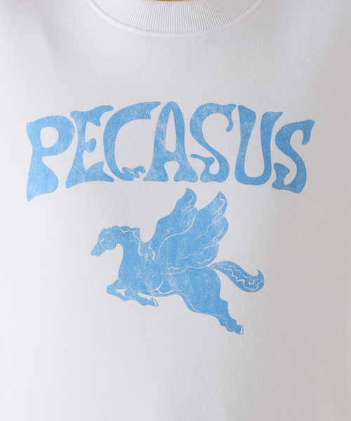 EDIT. FOR LULU(エディットフォールル)の「【WORN FREE×EDIT.FOR LULU】別注 pegasusスウェット(スウェット・レディース・ホワイト・FREE)」の10枚目の写真