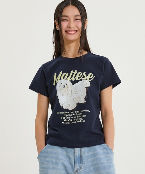 WaiKei(ワイケイ)の「【UNISEX】Wai Kei/マルチーズイラストT(Tシャツ/カットソー・メンズ・ネイビー/ライトブルー/ホワイト・SMALL/LARGE/MEDIUM)」の14枚目の写真