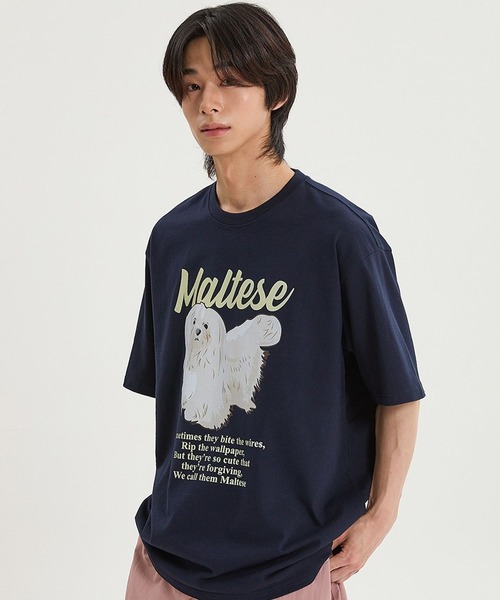 WaiKei(ワイケイ)の「【UNISEX】Wai Kei/マルチーズイラストT(Tシャツ/カットソー・メンズ・ネイビー/ライトブルー/ホワイト・SMALL/LARGE/MEDIUM)」の16枚目の写真