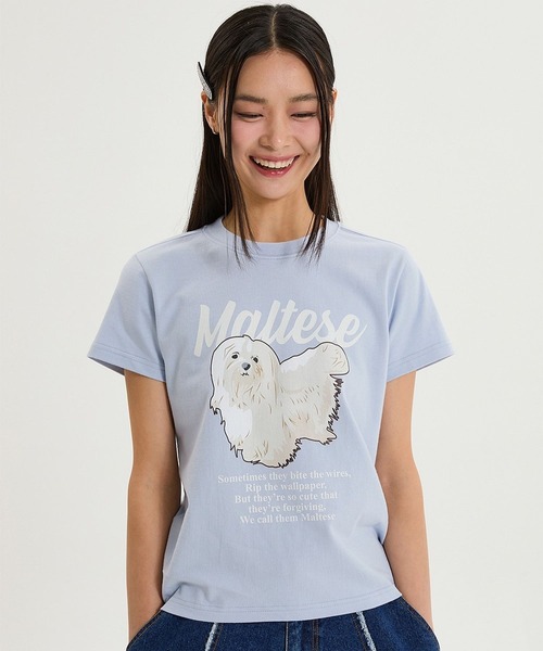 WaiKei(ワイケイ)の「【UNISEX】Wai Kei/マルチーズイラストT(Tシャツ/カットソー・メンズ・ネイビー/ライトブルー/ホワイト・SMALL/LARGE/MEDIUM)」の21枚目の写真