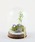 salle de baliTfoj́uẴE ~jn 75d KMBiCeAG݁jvb̑2