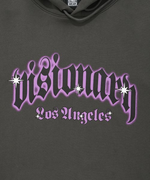 VISION STREET WEAR（ヴィジョンストリートウェア）の「VSW Visionary Hoodie Charcoal（パーカー・レディース・その他・LARGE）」の4枚目の写真