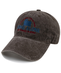 OPEN ATTITUDE（オープンアティチュード）の「HOME ALONE STONE WASHED CAP-BROWN（キャップ）」
