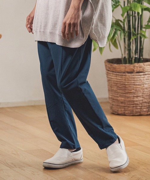 稀少】緋牡丹錦×LB2178錦 向山レッドダイヤモンド 極上斑 特選 サボテン