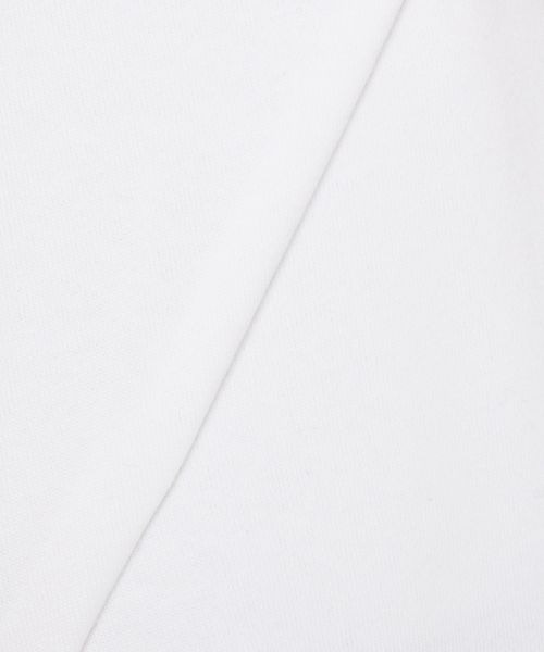 LOWRYS FARM（ローリーズファーム）の「ＵＳＡヘビーウエイトドルマン　265092（Tシャツ/カットソー・メンズ・ブルー/オフホワイト/ブラック/グリーン・LARGE/MEDIUM）」の17枚目の写真