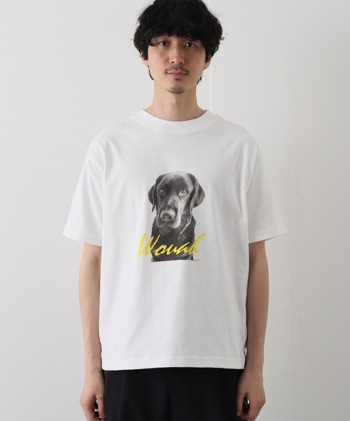 417 EDIFICE(フォーワンセブンエディフィス)の「【Labrador Retriever / ラブラドールリトリーバー】LABRADOR PHOTO Tシャツ(Tシャツ/カットソー・メンズ・ホワイト・MEDIUM/LARGE)」の3枚目の写真