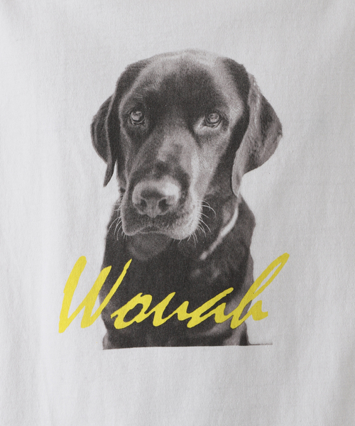 417 EDIFICE(フォーワンセブンエディフィス)の「【Labrador Retriever / ラブラドールリトリーバー】LABRADOR PHOTO Tシャツ(Tシャツ/カットソー・メンズ・ホワイト・MEDIUM/LARGE)」の10枚目の写真