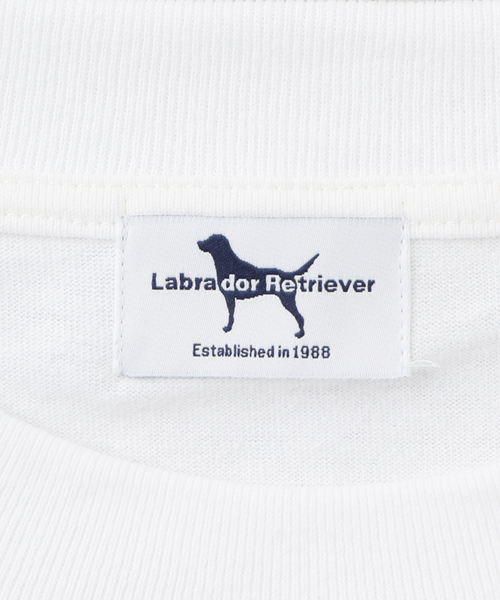 417 EDIFICE(フォーワンセブンエディフィス)の「【Labrador Retriever / ラブラドールリトリーバー】LABRADOR PHOTO Tシャツ(Tシャツ/カットソー・メンズ・ホワイト・MEDIUM/LARGE)」の14枚目の写真