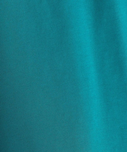 LEPSIM(レプシィム)の「マルチキノウチュニック3 299524(Tシャツ/カットソー・レディース・ホワイト/ブラック/ブラウン/グリーン/グレイッシュベージュ・FREE)」の15枚目の写真