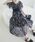 MAJESTIC LEGONi}WFXeBbNSj́uyCɓ17,000/r[z_uJ[RZbgs[Xis[XjvbubNn̑