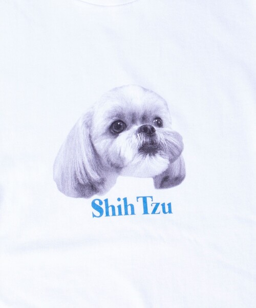 GLOSTER（グロスター）の「【新柄追加】【GLOSTER/グロスター】DOG&CAT 犬猫プリントロンT（Tシャツ/カットソー・メンズ・ホワイト系その他/ホワイト系その他3/ホワイト系その他2/ホワイト系その他4/ホワイト系その他5/ホワイト系その他6・S/M/L）」の16枚目の写真