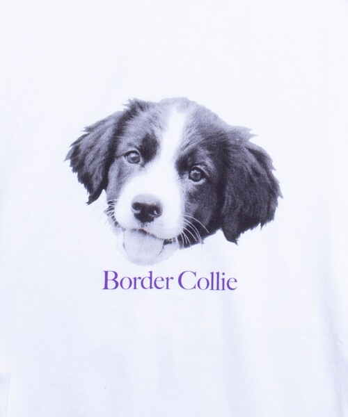 GLOSTER（グロスター）の「【新柄追加】【GLOSTER/グロスター】DOG&CAT 犬猫プリントロンT（Tシャツ/カットソー・メンズ・ホワイト系その他/ホワイト系その他3/ホワイト系その他2/ホワイト系その他4/ホワイト系その他5/ホワイト系その他6・S/M/L）」の18枚目の写真