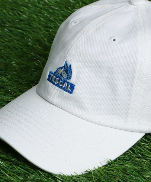 TES BOX LOGO EMB LOW CAP / キャップ（キャップ）｜The Endless