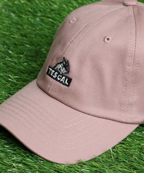 TES BOX LOGO EMB LOW CAP / キャップ（キャップ）｜The Endless