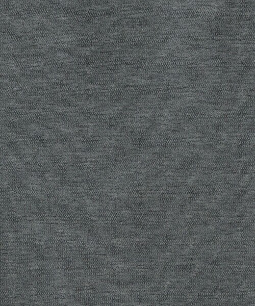 BEAUTY&YOUTH UNITED ARROWS（ビューティーアンドユースユナイテッドアローズ）の「フロントボタン Vネック ニットベスト -ウォッシャブル-（ベスト・レディース・ダークブラウン/ネイビー/グレー・FREE）」の21枚目の写真