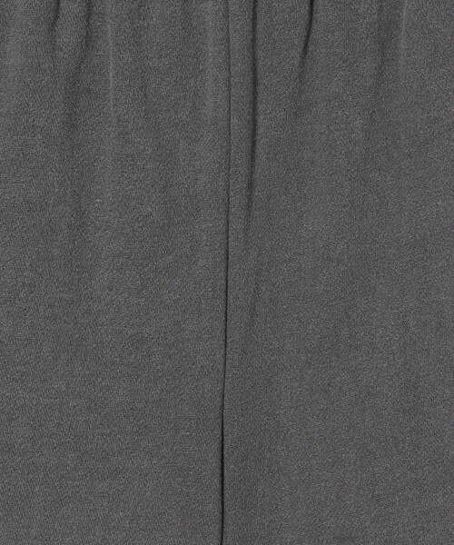 AMERICANA（アメリカーナ）の「＜Americana＞ヴィンテージライク 裏毛 ショーツ（その他パンツ・レディース・ブラック・FREE）」の15枚目の写真