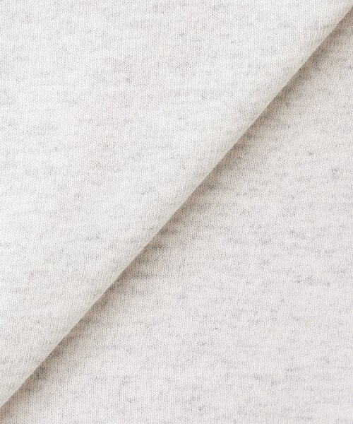 JOURNAL STANDARD（ジャーナルスタンダード）の「CHAMPION / JS GODZILLA 70th PRINT TEE（Tシャツ/カットソー・メンズ・ブラック系その他/ライトホワイト/ホワイト/ホワイト系その他/ブラック×ブラック/オフホワイト/グレー/チャコールグレー/スミクロ/ホワイト×ホワイト/ブラック・MEDIUM/LARGE/X-LARGE）」の21枚目の写真