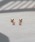 PeonyisIj[j́uyPeony/sIj[z/T[WJXeX@VvX^[sAXisAXipjjvbsNS[h