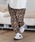 CAMBIOiJrIj́ump12635- Leopard Jacquard Pants Ip[hpcȋpcjvbuE