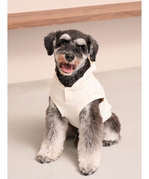 gelato pique（ジェラートピケ）の「【CAT&DOG】スポーティーベア裏毛プルオーバー（ペットウェア・レディース・アイボリー/グレー/ネイビー・L/M/S）」の5枚目の写真