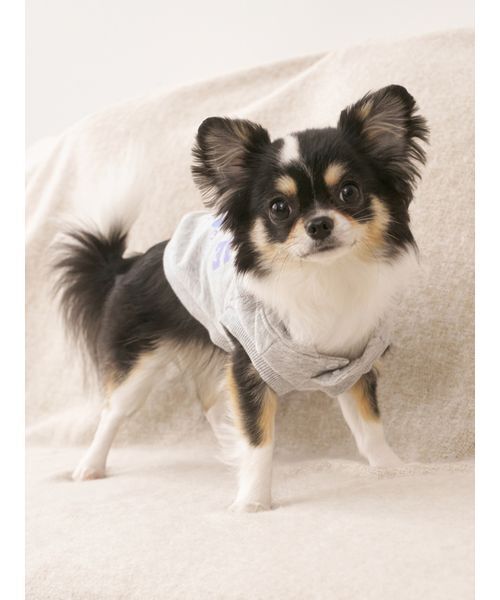 gelato pique（ジェラートピケ）の「【CAT&DOG】スポーティーベア裏毛プルオーバー（ペットウェア・レディース・アイボリー/グレー/ネイビー・L/M/S）」の7枚目の写真