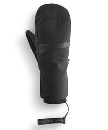 PICTURE/ピクチャー】GRABEY GTX W GLOVES Gore-Tex スキー