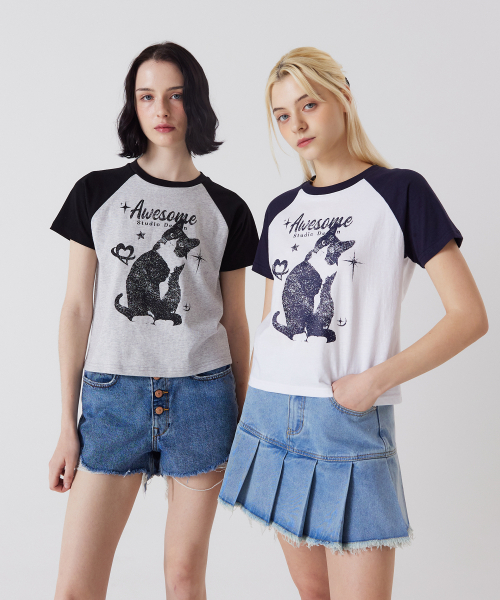 AWESOME STUDIO(オーサムスタジオ)の「アッサムキャット ラグラン袖 半袖Tシャツ メランジグレー(Tシャツ/カットソー・レディース・その他・FREE)」の5枚目の写真