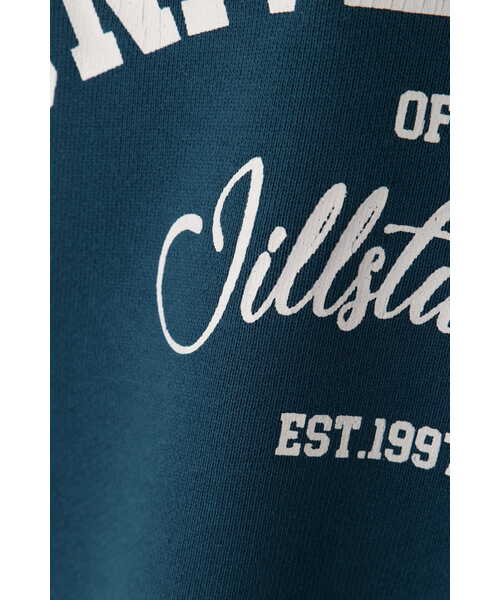 JILL STUART(ジルスチュアート)の「カティアスウェットシャツ(スウェット・レディース・ベージュ/レッド/ブルー・FREE)」の21枚目の写真