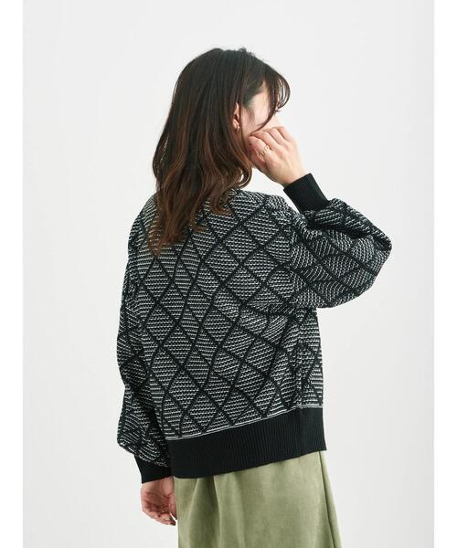 Green Parks(グリーンパークス)の「柄ショートニットプルオーバー*(ニット/セーター・レディース・ブラック/ベージュ/ブルー/グリーン・FREE)」の18枚目の写真