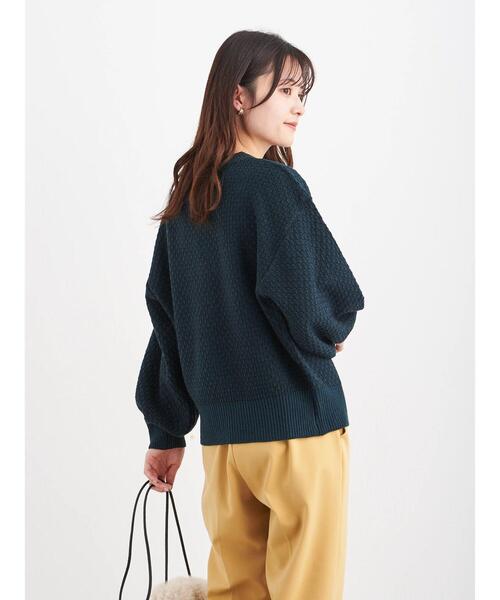 Green Parks(グリーンパークス)の「柄ショートニットプルオーバー*(ニット/セーター・レディース・ブラック/ベージュ/ブルー/グリーン・FREE)」の19枚目の写真