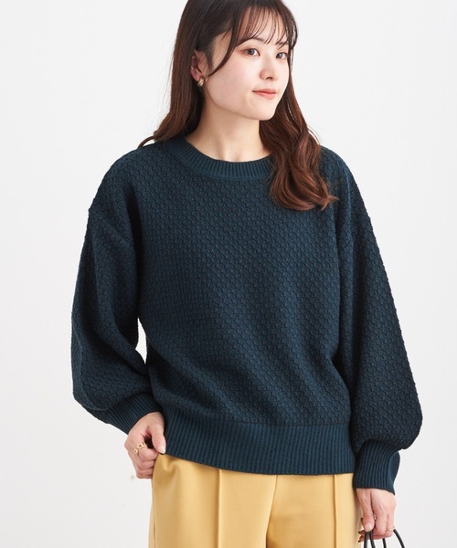 Green Parks(グリーンパークス)の「柄ショートニットプルオーバー*(ニット/セーター・レディース・ブラック/ベージュ/ブルー/グリーン・FREE)」の1枚目の写真