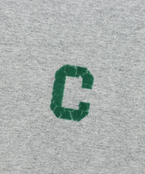 Champion(チャンピオン)の「【Champion/チャンピオン】レディース ショートスリーブTシャツ(Tシャツ/カットソー・レディース・ブルー系その他/ネイビー/グレー/ダークグリーン/ホワイト/ベージュ系その他4・MEDIUM/LARGE)」の10枚目の写真