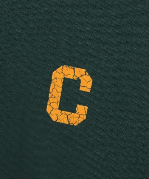 Champion(チャンピオン)の「【Champion/チャンピオン】レディース ショートスリーブTシャツ(Tシャツ/カットソー・レディース・ブルー系その他/ネイビー/グレー/ダークグリーン/ホワイト/ベージュ系その他4・MEDIUM/LARGE)」の16枚目の写真