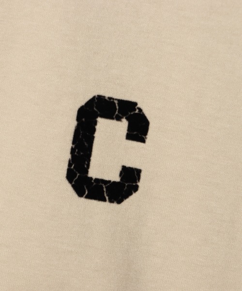 Champion(チャンピオン)の「【Champion/チャンピオン】レディース ショートスリーブTシャツ(Tシャツ/カットソー・レディース・ブルー系その他/ネイビー/グレー/ダークグリーン/ホワイト/ベージュ系その他4・MEDIUM/LARGE)」の13枚目の写真