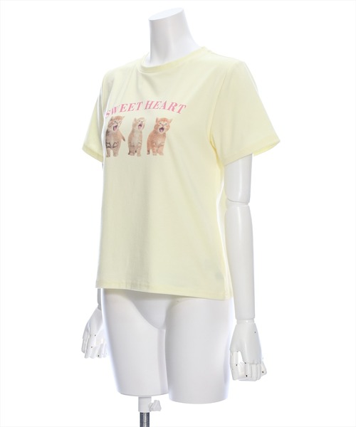 tシャツ M2429 ネコをバッグからプリント半Ｔ レディース Tシャツ レディース 半袖 春夏 半袖Tシャツ ティーシャツ