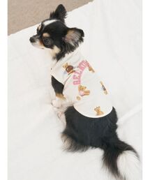 gelato pique(WF[gsP)́yCAT&DOGzX|[eB[xAJbg\[vI[o[(ybgEFA)