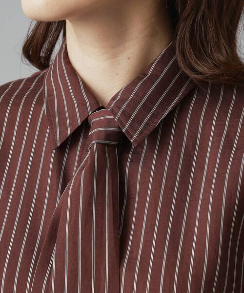 DRESSTERIOR（ドレステリア）の「【洗える/オンオフ/otonaMUSE 11月号掲載】3WAYタイ付きアーカーストライプシャツ（シャツ/ブラウス・レディース・ブラウン系その他3/ベージュ系その他5・38/34/36）」の21枚目の写真