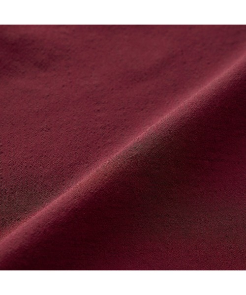 AOYAMA（アオヤマ）の「長袖　シアーブラウス（シャツ/ブラウス・レディース・グレー/ボルドー・L/M/S）」の4枚目の写真