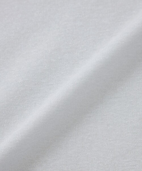 TRANS WORK(トランスワーク)の「【L】【ウォッシャブル】シアーラメフライスカットソー(Tシャツ/カットソー・レディース・ゴールド/シルバー系その他・46/44)」の10枚目の写真
