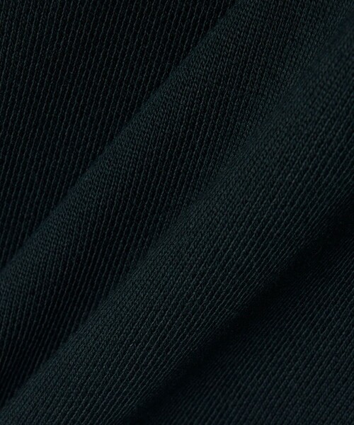 LACOSTE（ラコステ）の「ハイネックエンボスハーフジップスウェットシャツ（スウェット・メンズ・ライトグレー/ネイビー・XS/M/L/S）」の3枚目の写真