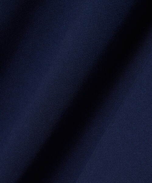 LACOSTE（ラコステ）の「ハイネックエンボスハーフジップスウェットシャツ（スウェット・メンズ・ライトグレー/ネイビー・XS/M/L/S）」の10枚目の写真