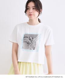 【LIFE PICTURE COLLECTION】アソートフォトTシャツ