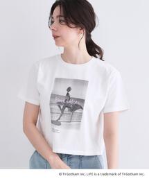 【LIFE PICTURE COLLECTION】アソートフォトTシャツ