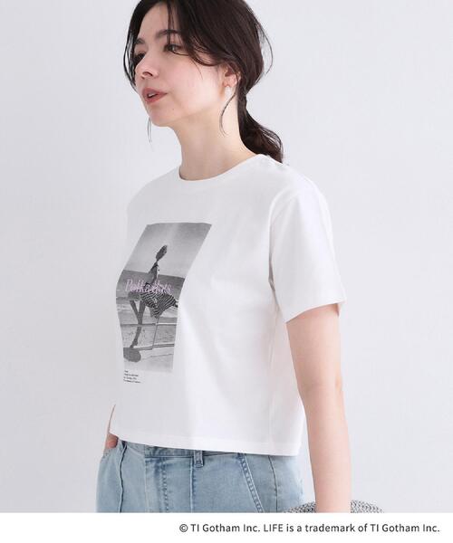 OPAQUE.CLIP(オペークドットクリップ)の「【LIFE PICTURE COLLECTION】アソートフォトTシャツ(Tシャツ/カットソー・レディース・チャコールグレー/ホワイト系1/ホワイト・99)」の11枚目の写真