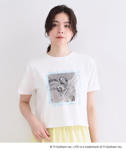 OPAQUE.CLIP(オペークドットクリップ)の「【LIFE PICTURE COLLECTION】アソートフォトTシャツ(Tシャツ/カットソー・レディース・チャコールグレー/ホワイト系1/ホワイト・99)」の4枚目の写真
