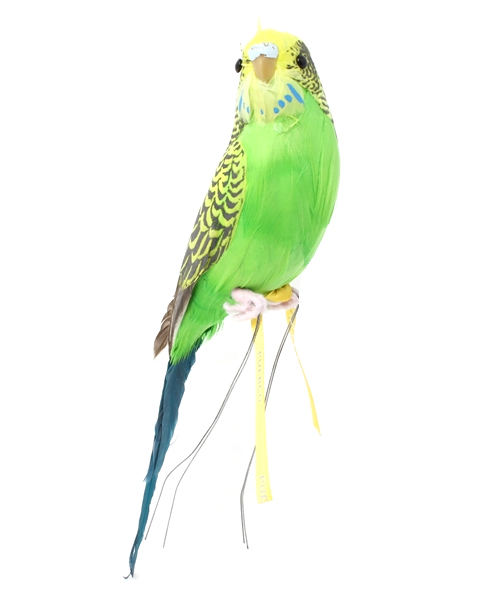 Dhr0731様❣️セキセイインコ オカメインコ オブジェ❤︎ 人形